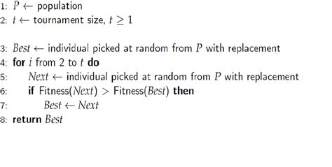 Tournament Selection Algorithm に対する画像結果