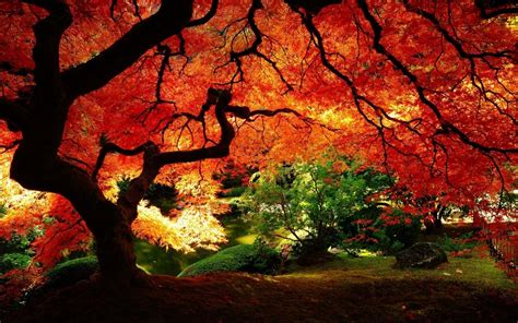 Fall Desktop Pinterest Computer に対する画像結果