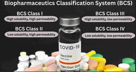 Image result for Biopharmaceutics Classification System