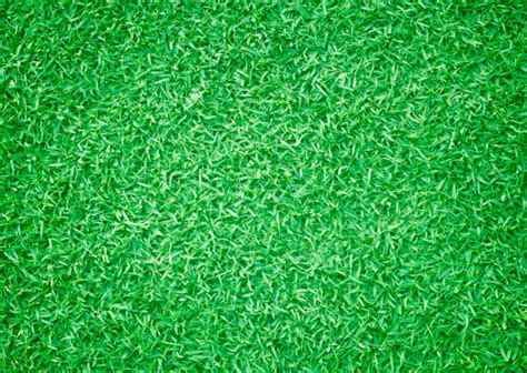 Golf Turf Graphic に対する画像結果