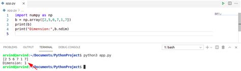 Python Empty Array に対する画像結果