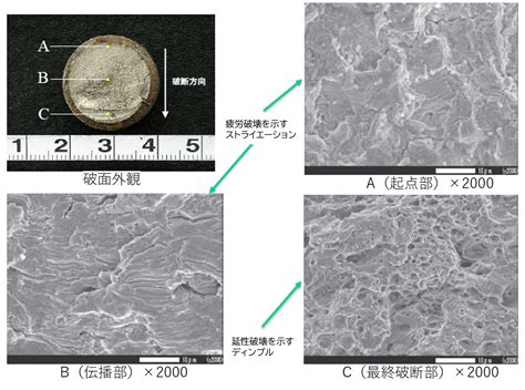 Afbeeldingsresultaten voor Edx分析