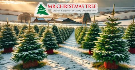 Mr Christmas Tree Toppers に対する画像結果