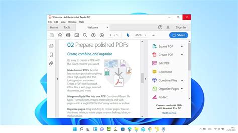 Toradh íomhá ar Update Adobe Acrobat