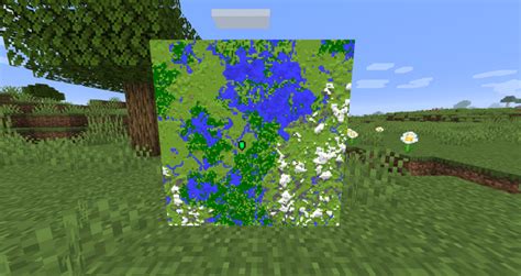 Image result for Minecraft Java Large Biome Seed