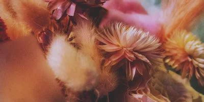 Image result for Underline Hover Animation in CSS