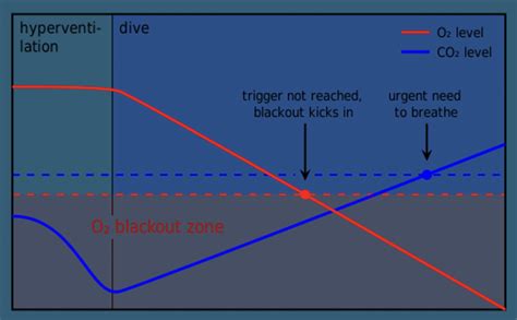 Hyperventilation Antimation に対する画像結果