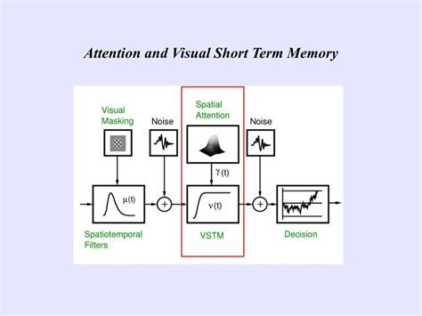Image result for Visual Coding in Short-Term Memory