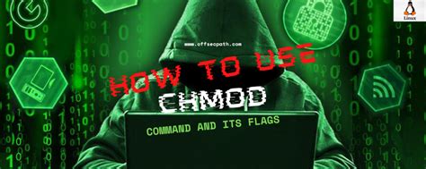 Toradh íomhá ar How to Use Chmod Command