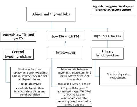 Image result for Algorithm for Thyroid Disorders