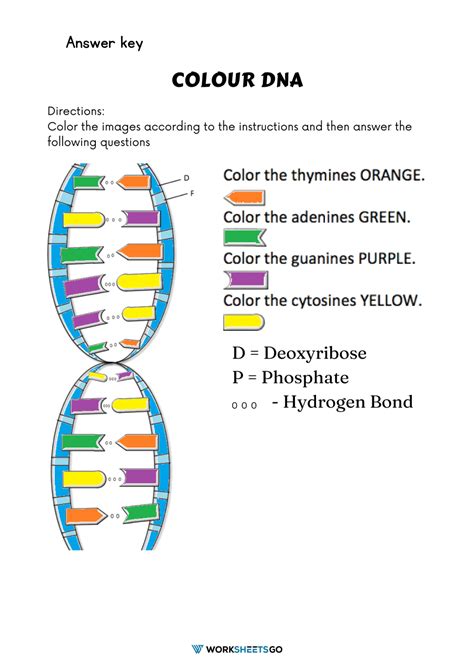 Afbeeldingsresultaten voor DNA Lines Code