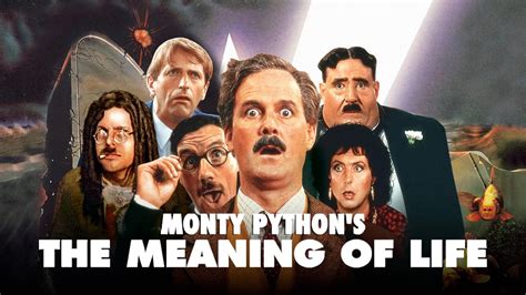 Monty Python Compliment에 대한 이미지 결과