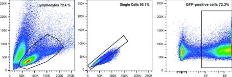 Afbeeldingsresultaten voor GFP Scatter Plot Flow Cytometry