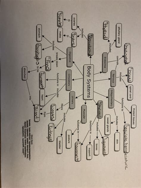 Toradh íomhá ar Evolution Web Diagram Answer Key