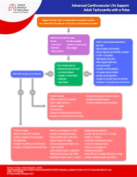 Image result for ACLS Algorithm with Pulse