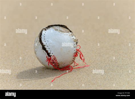 Image result for Baseball Ball in Sand Box