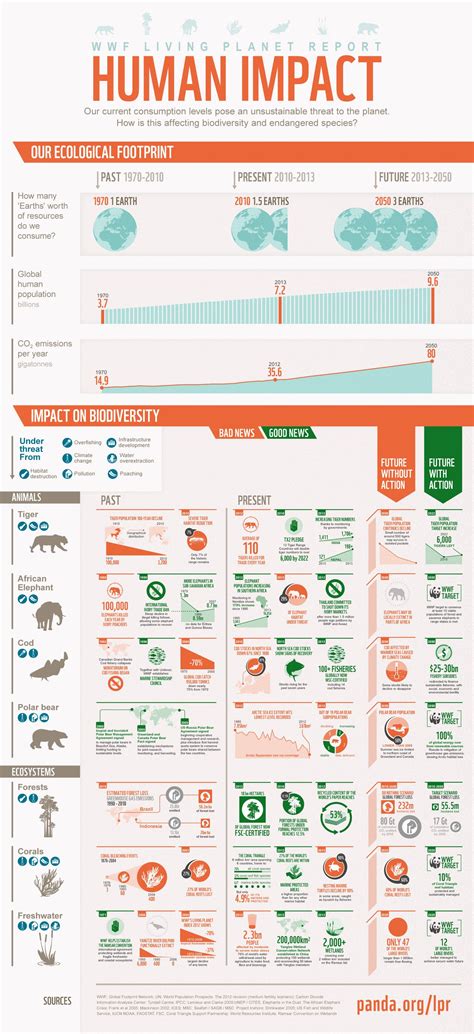 Security Classification Example に対する画像結果
