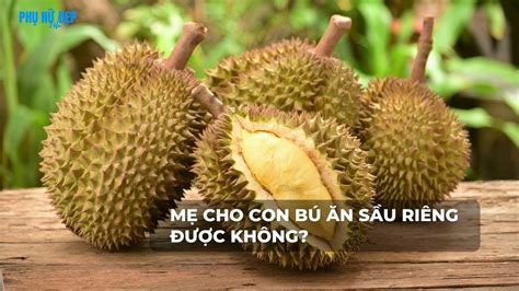 Me Cho Con Du に対する画像結果