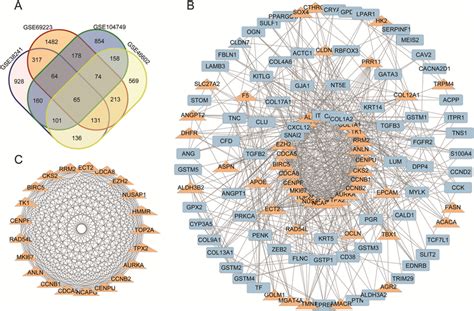Image result for Cancer Microarray Database