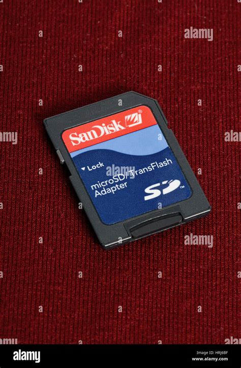 Image result for Secure Digital Memory Card