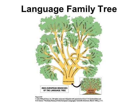 Toradh íomhá ar Coding Language Family Tree