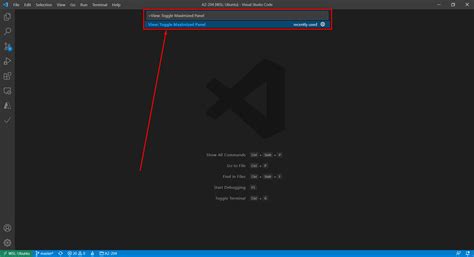 Maximize Button Missing に対する画像結果