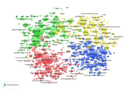 Image result for Biotec Process Map