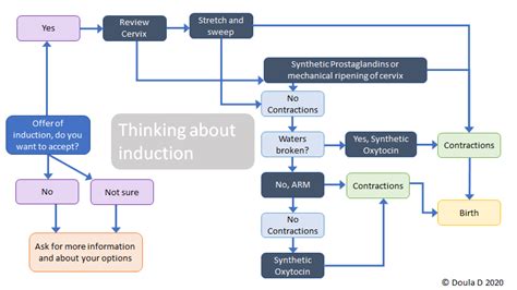 Induction Process Flow Chart に対する画像結果