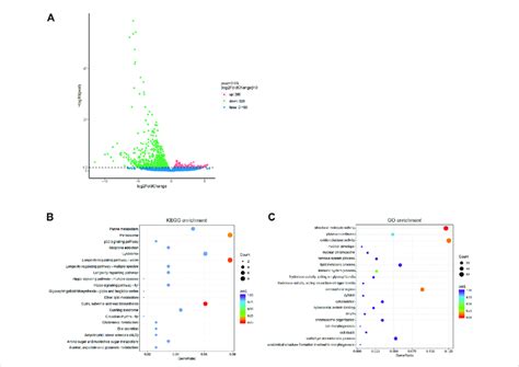 Transcriptomics Volcano Plot に対する画像結果