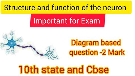 Image result for Neuron Structure CBSE 10 Class
