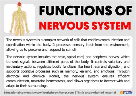 Image result for 5 Functions of the Nervous System