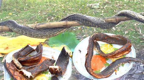 Python Grill に対する画像結果