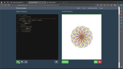 Image result for Python Turtle Sandbox