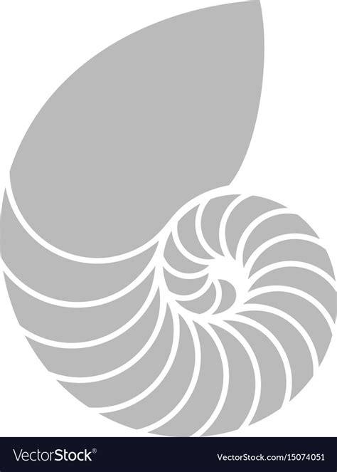 Image result for Nautilus Shell Matrix Multiplication by Vector