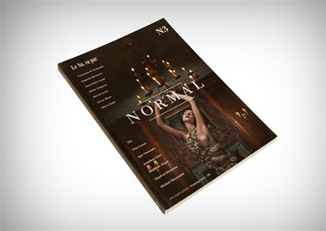 Image result for Normal Magazine Back Issues