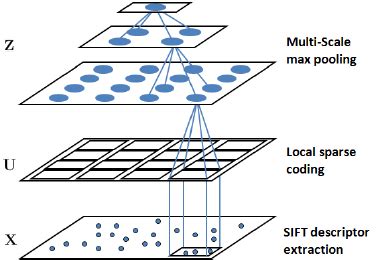 Toradh íomhá ar Example of Sparse Coding Psychology