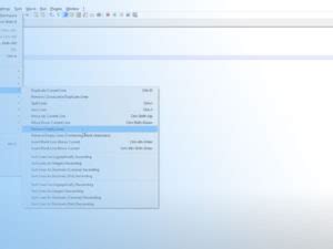 Image result for How to Format JSON Using Notepad