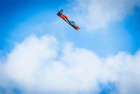 Aircraft Wing Loading に対する画像結果