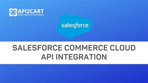 Image result for Salesforce E-Commerce Payment Processing API Integration