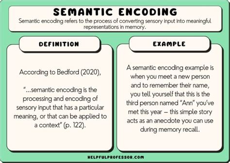 Image result for Setantics Coding Examples