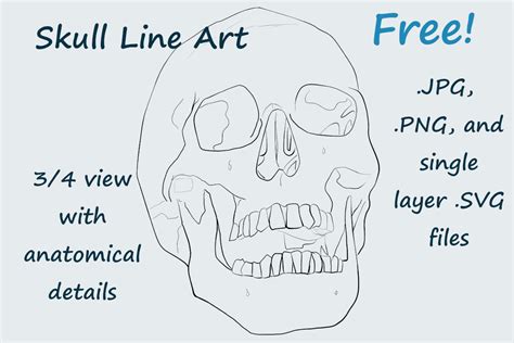 Image result for Alien Skull Drawing Line Art
