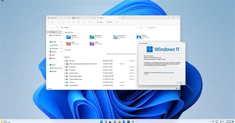 Afbeeldingsresultaten voor Windows 11 File Explorer Theme