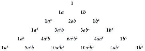 Image result for Pascal Triangle 8th Row