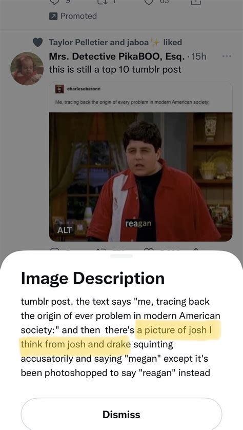 Funny Drake and Josh Megan Meme に対する画像結果