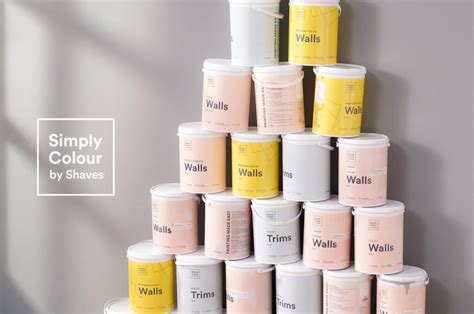 Image result for Solvent Based Paint