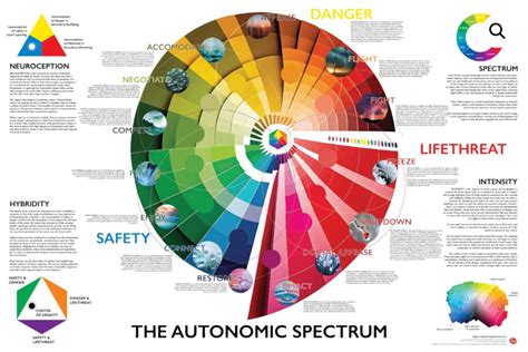 Autonomic Nervous System Function Chart に対する画像結果
