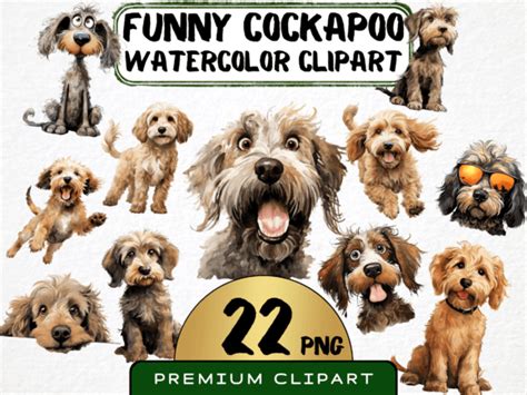 Afbeeldingsresultaten voor Funny Cockapoo