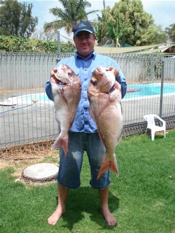 Image result for Roto Snapper