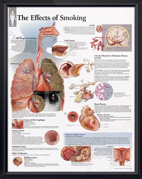 Image result for Smoking Rolling Machine 110Mm