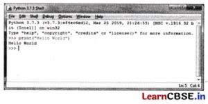 Image result for Python Class 9 Project On Laptop